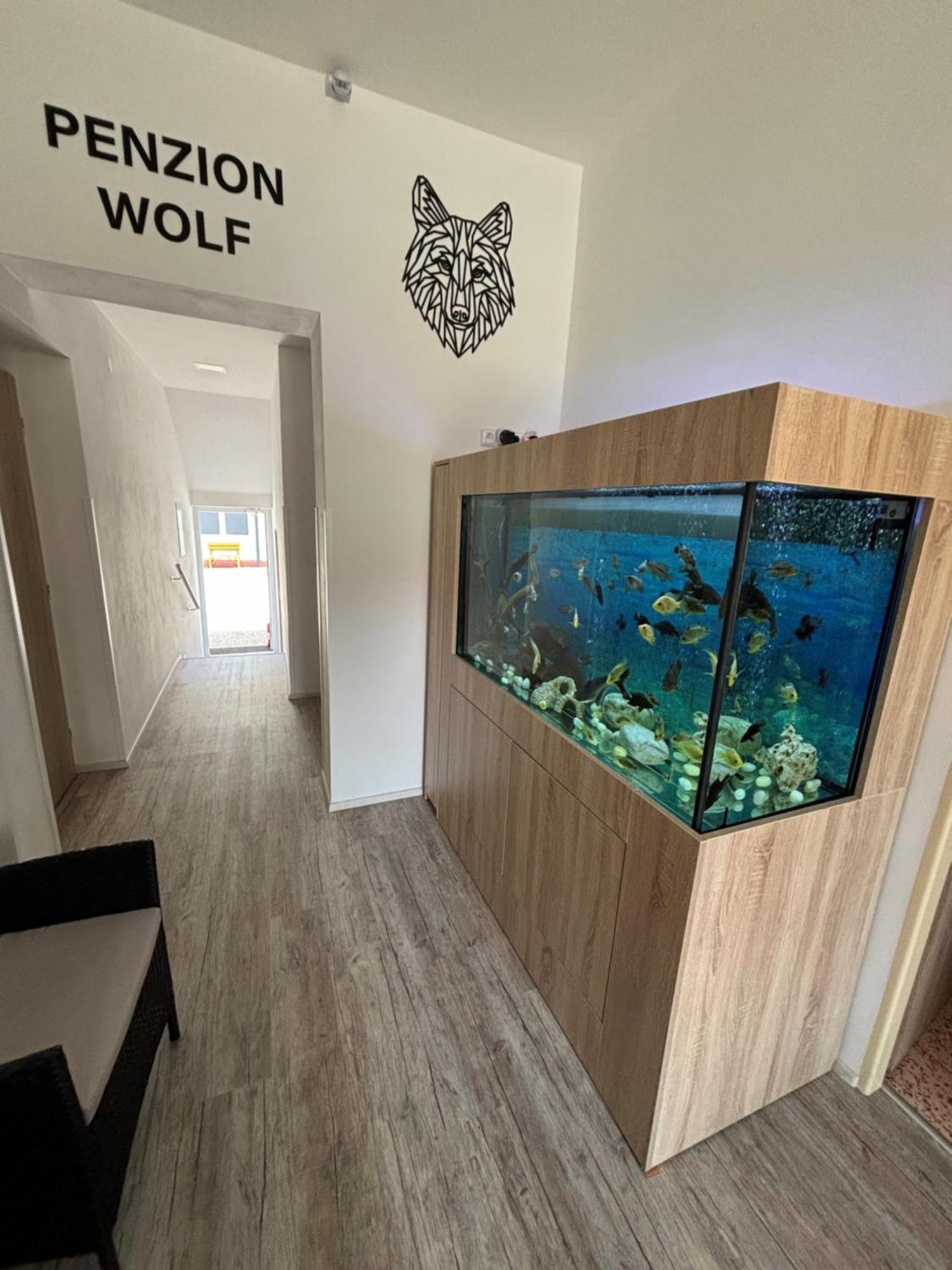 Penzion a autokemp Wolf Česká Skalice Kültér fotó